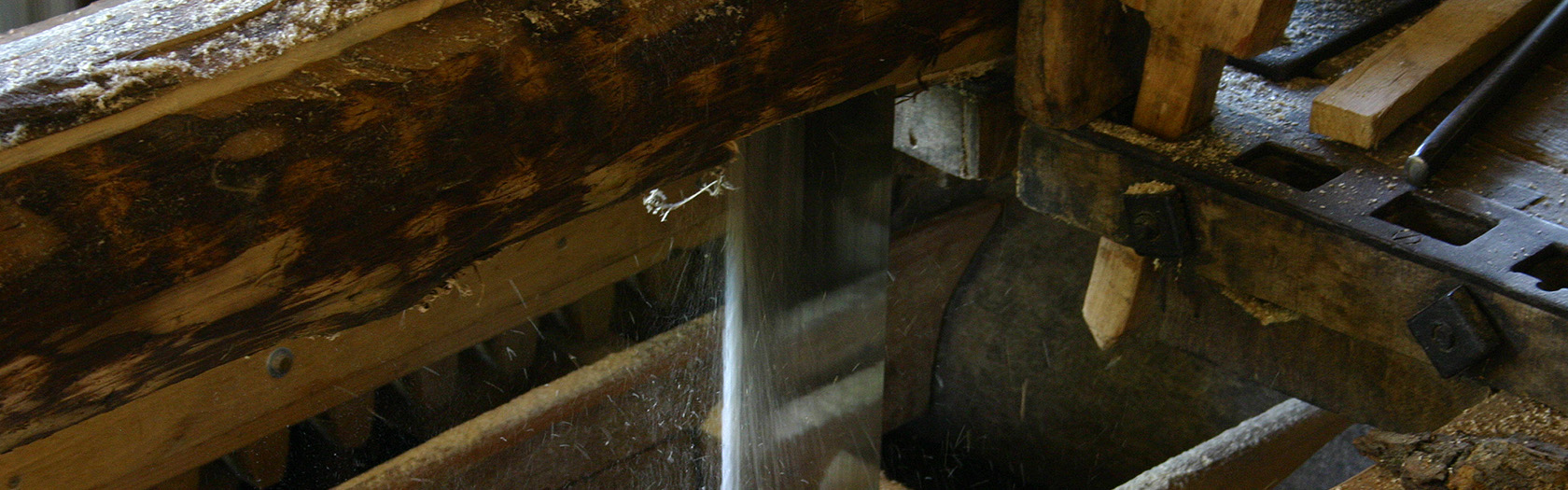 
Warning: Undefined array key 