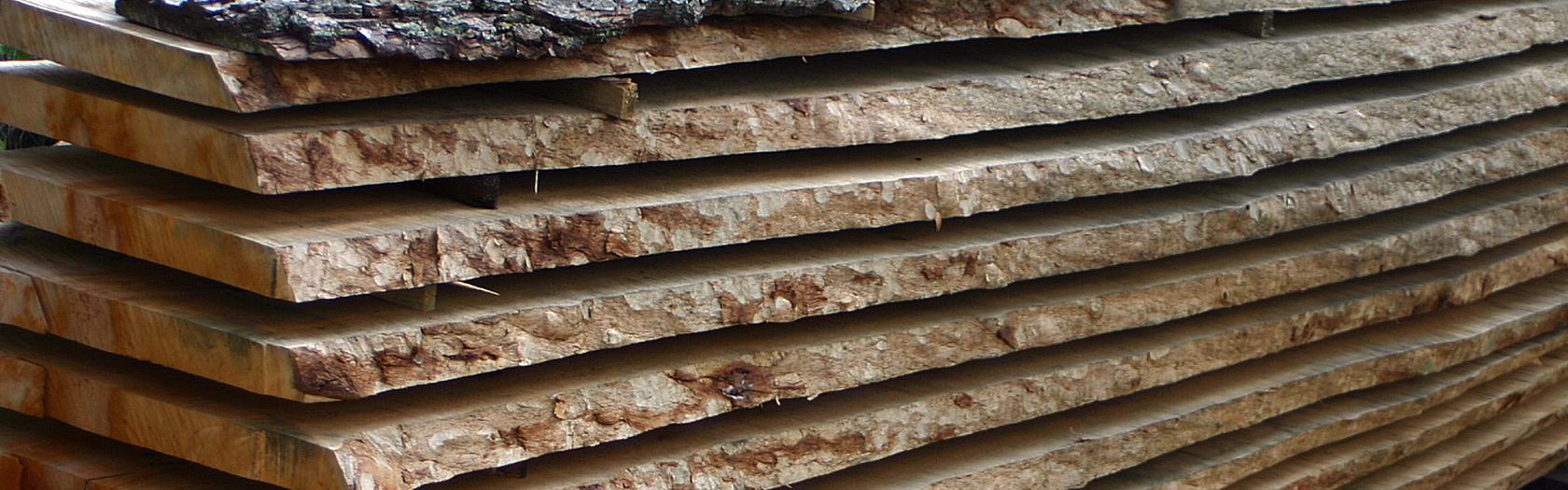 
Warning: Undefined array key 